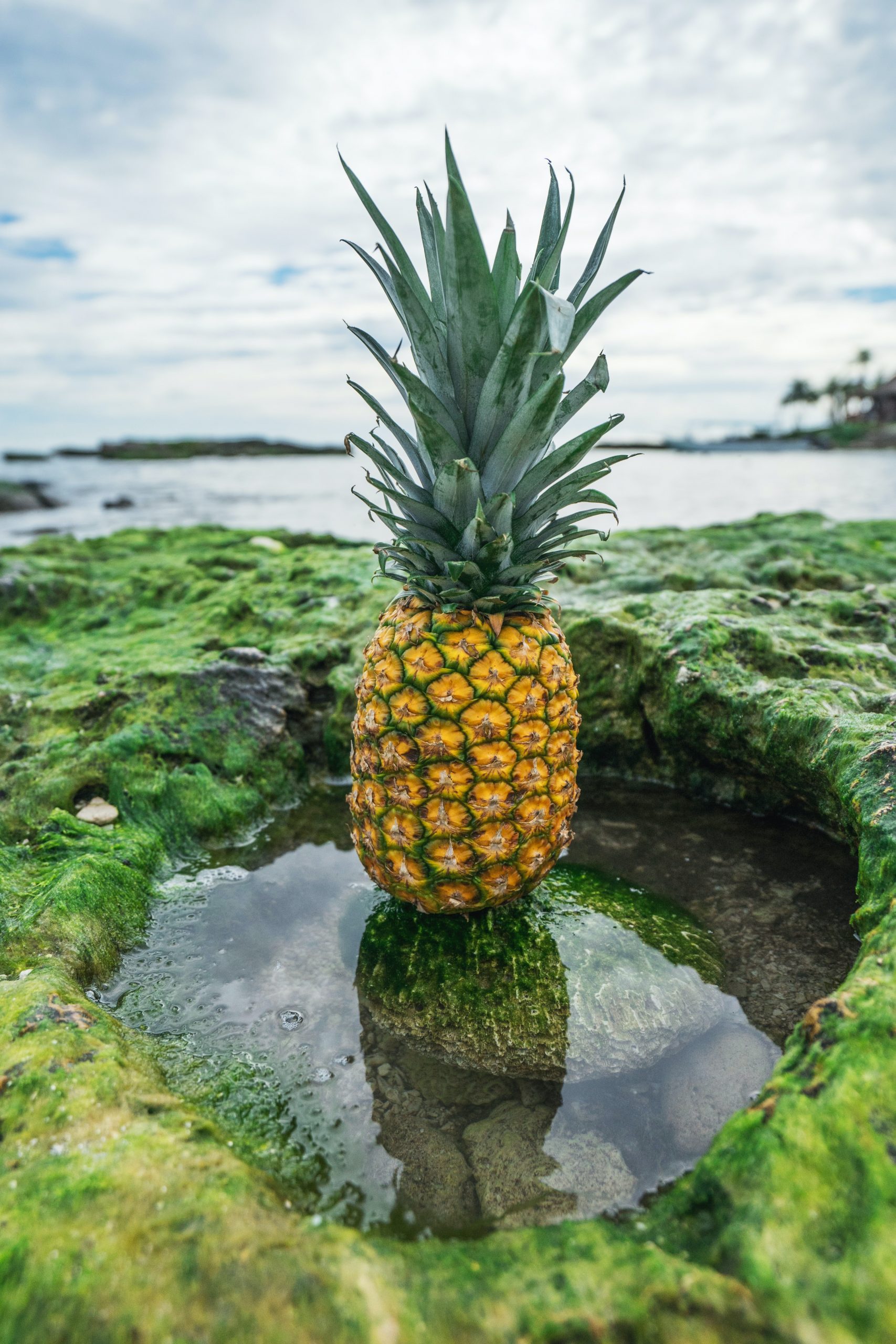 Diese wunderschöne Ananas soll Lust auf die Ernährungsberatung machen. 